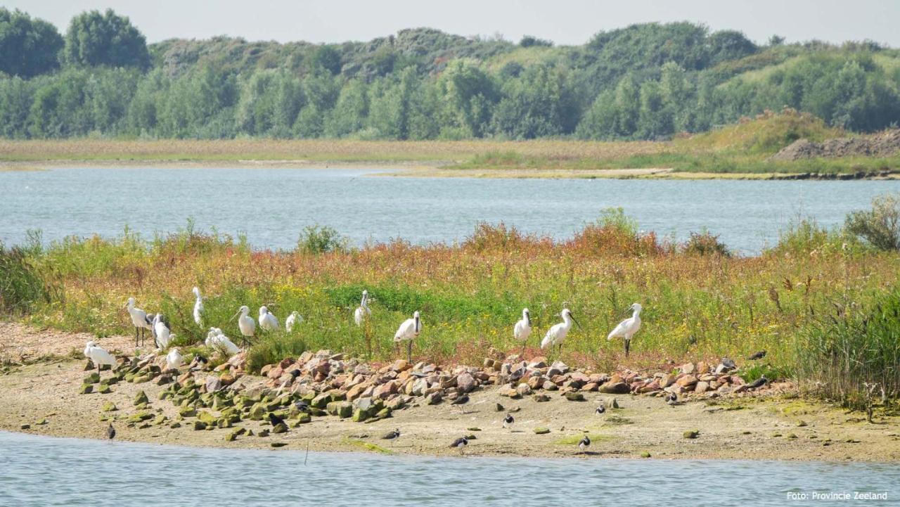 Molecaten Park Waterdunen Breskens Buitenkant foto